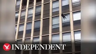 Cat leaps from burning building, gets up and walks way