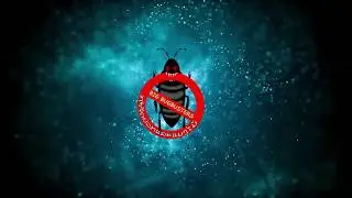B-BUG Buster (We are bug killer)