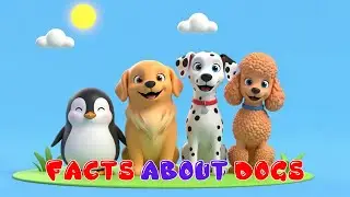 Top Dog Facts & Names for Kids 🐶 | Learn Dog Breeds | 3D Animated Cartoon