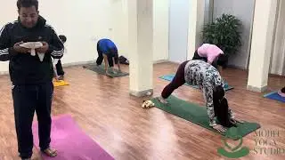 Forward Bending Yoga Full Class | Improve Flexibility, Digestion & Calm Mind | Mohit Yoga Studio