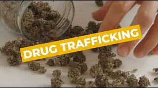 Drug Trafficking | Sydney Criminal Lawyers&reg;