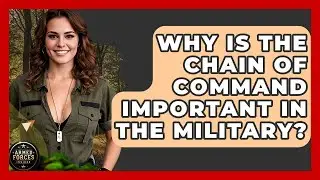 Why Is the Chain of Command Important in the Military? - Armed Forces Insider