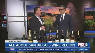 All About San Diego's Wine Region