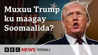 Wax ka ogow sababta uu maamulka Madaxweyne Trump u beegsanayo Soomaalida Mareykanka