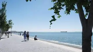 TRIGO - MAR DA PALHA