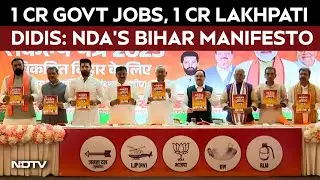 NDA Bihar Manifesto News | 1 Crore Government Jobs, 1 Crore Lakhpati Didis: NDA's Bihar Manifesto