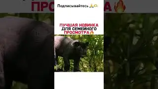 Элла и черный ягуар (2024) #фильмы#популярноенаютубе#2024#sorts#рекомендации