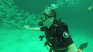 plong&eacute;e Zanzibar - atoll Mnemba