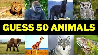 Guess 50 Animals In 3 Seconds | Ultimate Animal Quiz