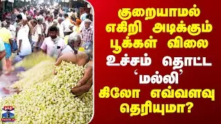 JasminePrice | குறையாமல் எகிறி அடிக்கும் பூக்கள் விலை.. உச்சம் தொட்ட 'மல்லி' -கிலோ எவ்வளவு தெரியுமா?