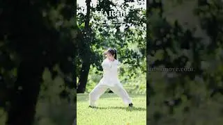 Tai Chi Quick Fight #taichi #kungfu #health #chineseculture