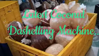 Coconut Deshelling machine and Parring of whole nuts