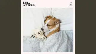 Deep Rest Music