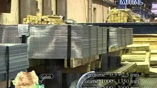 Mittal Steel