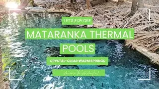 Mataranka Thermal Pools &ndash; Crystal-Clear Warm Springs.