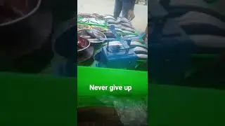 fish vendor