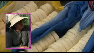 Caseras ofrecen una gran variedad de quesos para desayunar