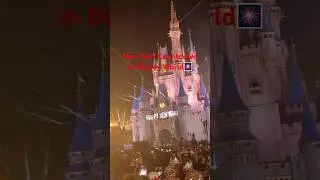 Disney World 2026 New Year Countdown🎆 #2026 #disney #disneyworld #newyear #countdown