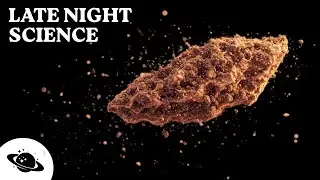 Soil: A Portal Between Life and Death | Late Night Science