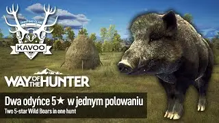 Way of the Hunter gameplay PILOT ||| Transylvania - 2 pięciogwiazdkowe dziki podczas jednego streamu