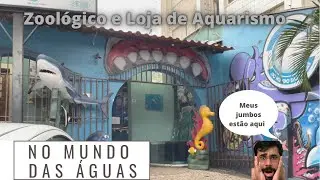 Os meus peixes jumbos foram para a Aquamarine BH / No Mundo das Águas   uma Loja / Zoológico Aquário