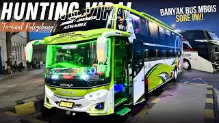 BANYAK BUS VIRAL!! HUNTING BUS MBOIS KEBERANGKATAN SORE TERMINAL PULOGEBANG JAKARTA TIMUR
