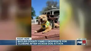 Hamilton woman wants dog that killed hers &lsquo;put down&rsquo;