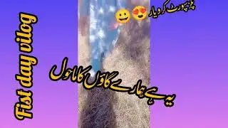 gao ka mahool