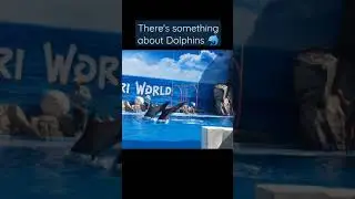 Dancing Dolphins in Thailand #shorts