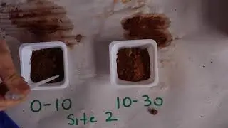 Wongan Hills Site 2 Water Repellence