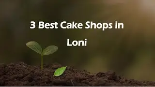 3 Best Cake shops in Loni, Uttar Pradesh 2025 | Bakeries