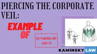 Piercing the Corporate Veil: Real World Examples of Intermingling Personal and Business Assets
