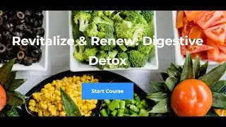 An Introduction to the 4 Week Digestive Detox