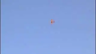 Extra 300 camodel