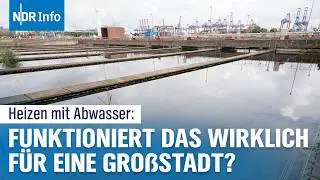 Wärme aus Abwasser: Riesen-Pumpe in Hamburger Klärwerk geht 2026 in Betrieb | NDR Info