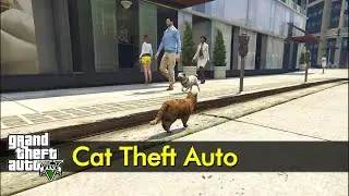 Cat Theft Auto | The GTA V Tourist