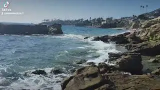 Lagoona beach🌎🐠🐬🐙🌺🦀🐡🐳🫶