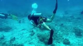 Dive - Boka Sami - 6 June 2025