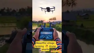 Dji drone flying test 🍁🥀😍 #neoflyingtest #mini4prodrone #djimini4pro #droneshorts #bestdrone #under