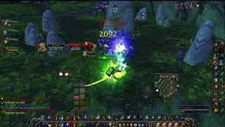 chad shaman vs virgin paladin
