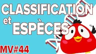 Espèces et classification MV#44-SVT Collège - Mathrix