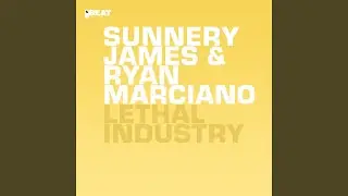 Lethal Industry