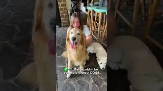 FUNNY and CUTE animals in Bali that will make you laughing #cuteanimals