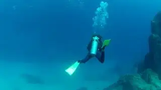 Cabo San Lucas, Lands End Dive 2015 with Lorena from PURABAJA TOURS