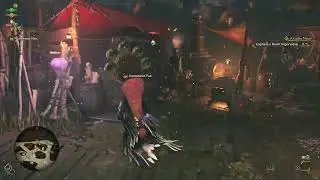 MH Wilds Stream | Spring Blossom Fest | New Quests | New Equipment | Hanging out and hunting