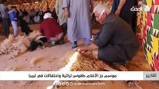 تقرير | موسم جز الأغنام طقوس تراثية واحتفالات في ليبيا