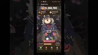 Memefi Coin Daily Secret Tap Combo June 23, 2024