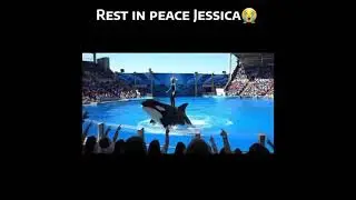 RIP jessica