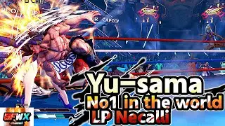 Yu-sama  No1 in the world LP Necalli  sf5  Season5 SF5 SFWX 4K  StreetFighter5 sfv sf5ce