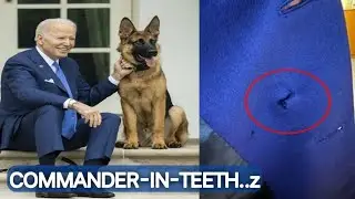 New report says where Joe Biden was as his dog was biting Secret Service agents